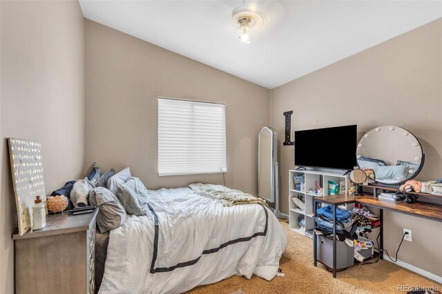 723 Griffin Ave, Canon City, CO 81212 - photo 21