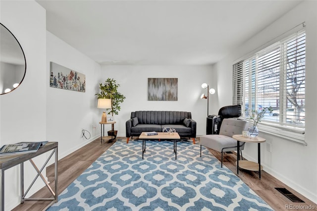 living room with hardwood / wood-style floors and plenty of natural light