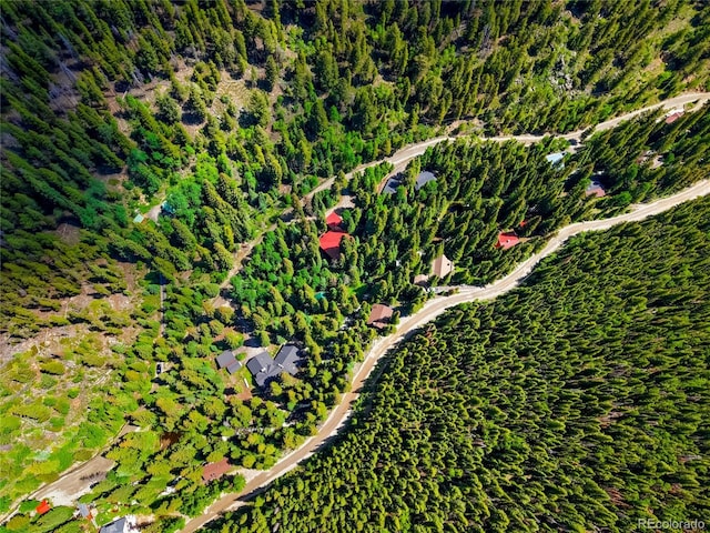 3237 Mill Creek Rd, Dumont, CO 80436 - view of property location