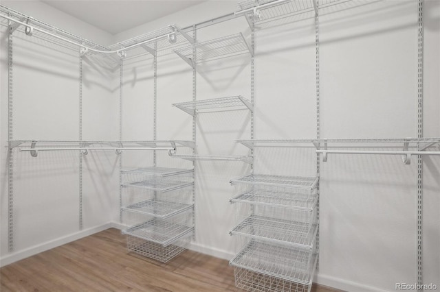 1743 Spring Water Pt, Colorado Springs, CO 80908 - walk in closet with wood finished floors