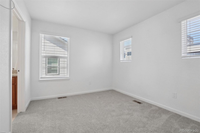 1743 Spring Water Pt, Colorado Springs, CO 80908 - spare room with light carpet and baseboards