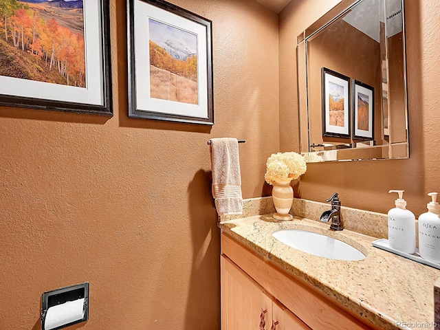 7335 S Milwaukee Way, Centennial, CO 80122 - bathroom with a textured wall and vanity