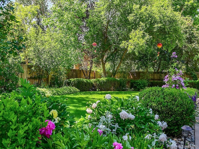 7335 S Milwaukee Way, Centennial, CO 80122 - view of fenced yard