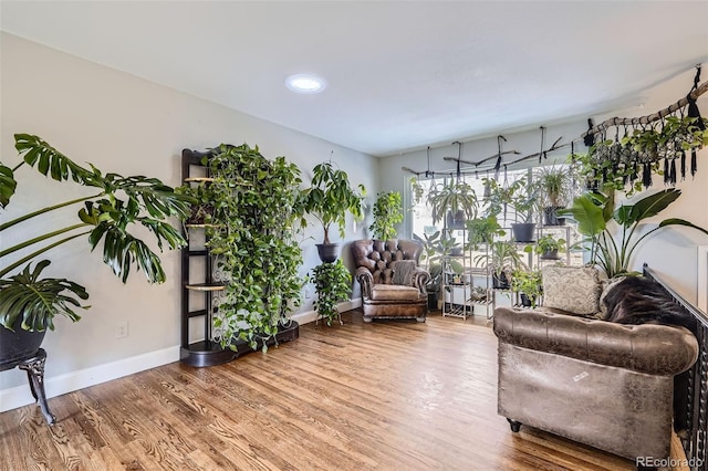 interior space featuring hardwood / wood-style floors