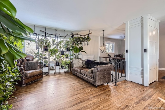 living room with ceiling fan with notable chandelier and wood-type flooring