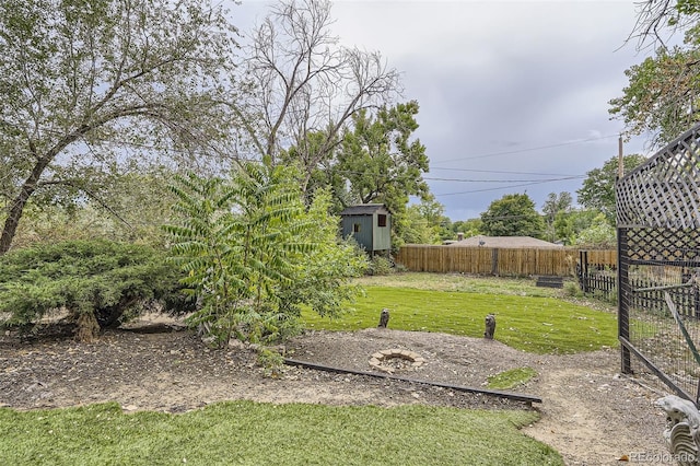 view of yard with a storage unit