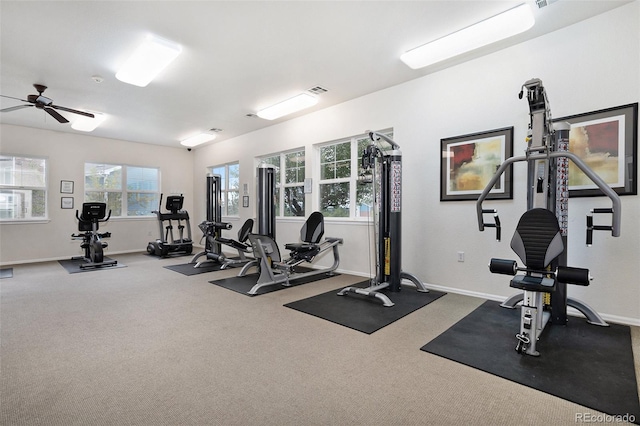 workout area with carpet floors and ceiling fan