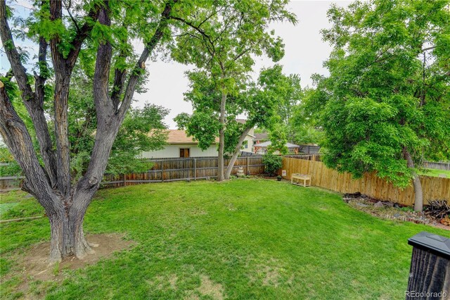 8410 Gray St, Arvada, CO 80003 - view of yard