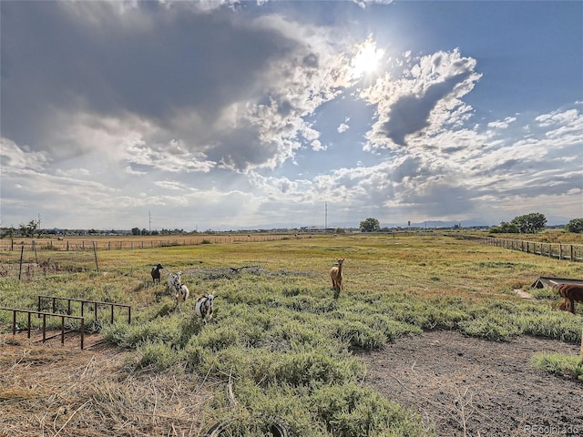 view of yard with a rural view