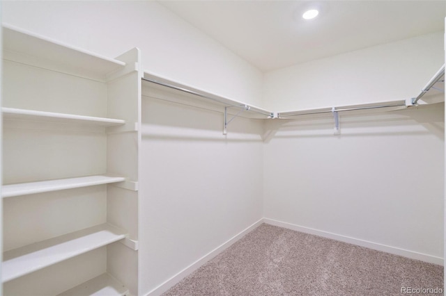 walk in closet featuring carpet