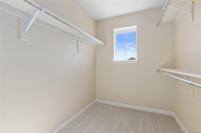 spacious closet featuring light colored carpet