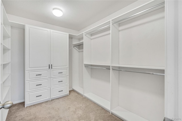 walk in closet featuring light colored carpet