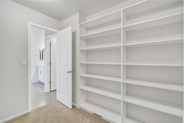 interior space with light colored carpet