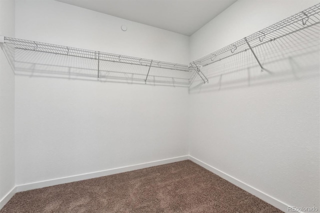 9237 Truckee Ct, Commerce City, CO 80022 - photo 14