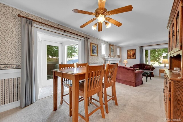 8710 Alta Vista Dr, Arvada, CO 80004 - photo 10