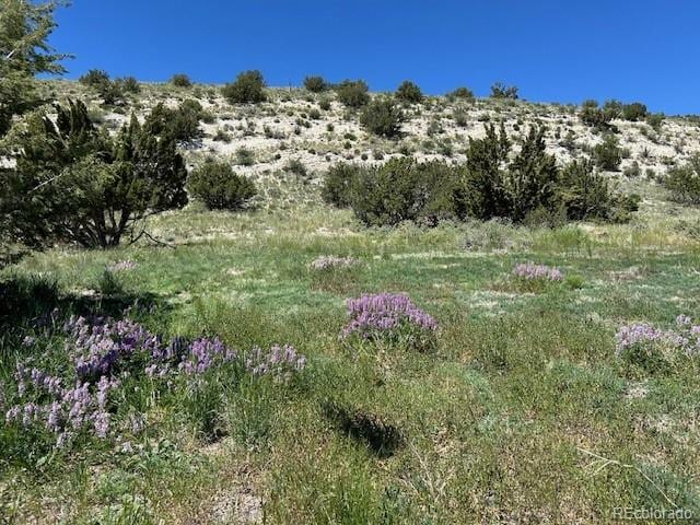 400 Autumn Ct, Canon City CO, 81212 land for sale