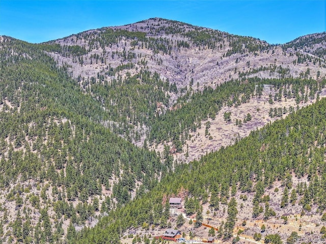 617 Hummingbird Trl, Idaho Springs, CO 80452 - view of mountain background with a forest