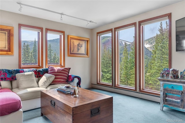 638 Mine Rd, Idaho Springs, CO 80452 - photo 3