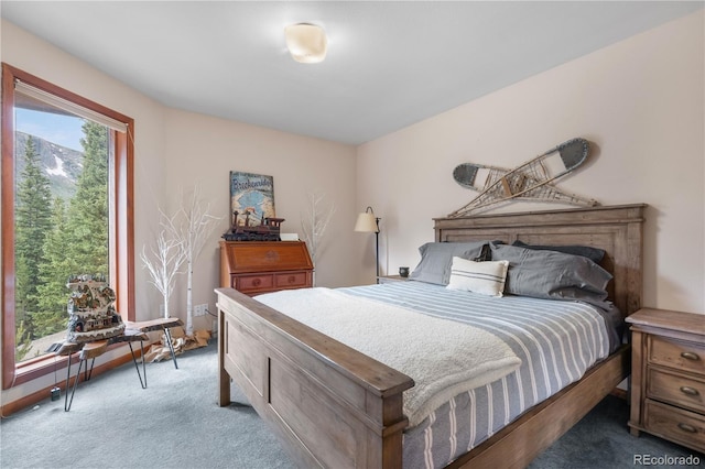 638 Mine Rd, Idaho Springs, CO 80452 - photo 15