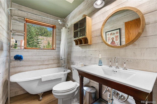 638 Mine Rd, Idaho Springs, CO 80452 - photo 19