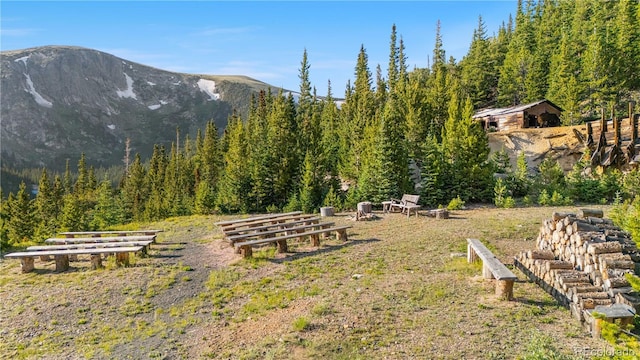 638 Mine Rd, Idaho Springs, CO 80452 - photo 39