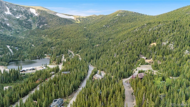 638 Mine Rd, Idaho Springs, CO 80452 - photo 42