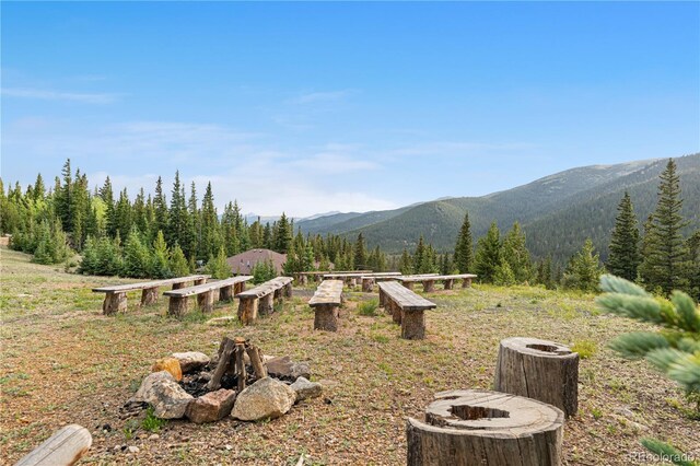 638 Mine Rd, Idaho Springs, CO 80452 - photo 47