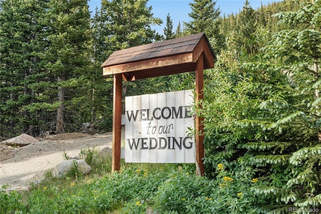 638 Mine Rd, Idaho Springs, CO 80452 - photo 49