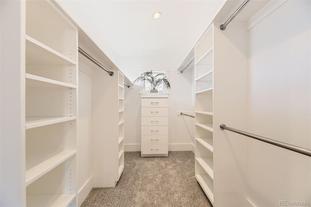 2692 N Raleigh St, Denver, CO 80212 - walk in closet with carpet floors