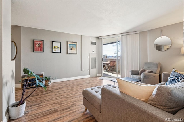 living room featuring wood-type flooring