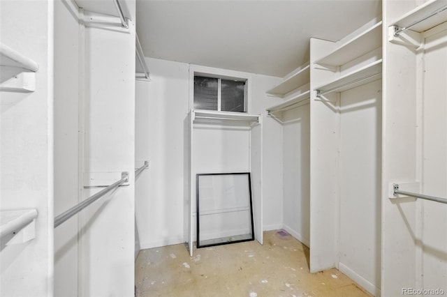view of spacious closet