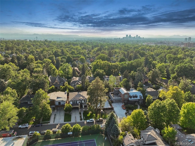 445 Forest St, Denver, CO 80220 - aerial view of a forest