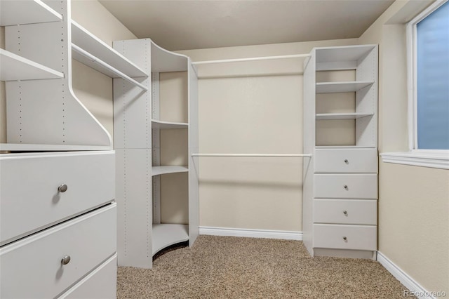 6633 E 166th Pl, Brighton, CO 80602 - walk in closet with carpet