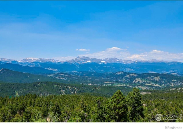 200 Kimwood Rd, Black Hawk, CO 80422 - photo 31