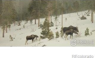 200 Kimwood Rd, Black Hawk, CO 80422 - photo 38