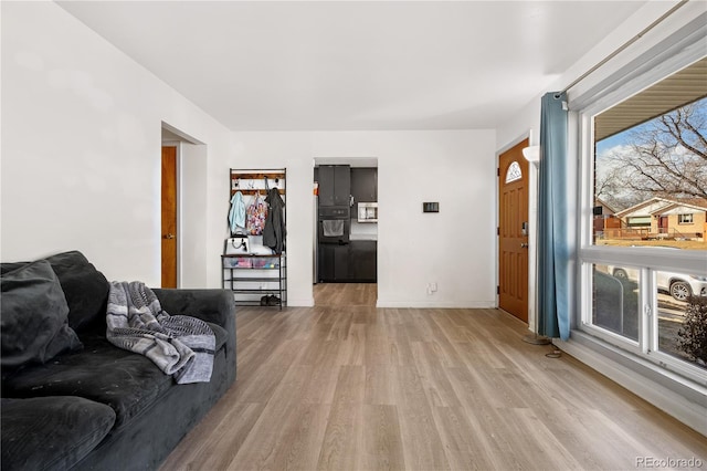 living room with light hardwood / wood-style flooring