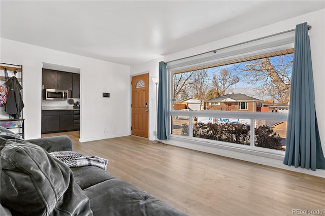 living room with light hardwood / wood-style flooring