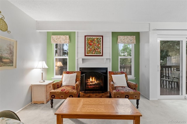 sitting room featuring a textured ceiling and carpet flooring