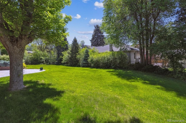 2222 E 7th Avenue Parkway, Denver, CO 80206 - view of green lawn