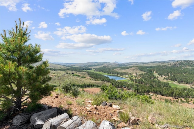 14764 Columbine Cir, Woodland Park, CO 80863