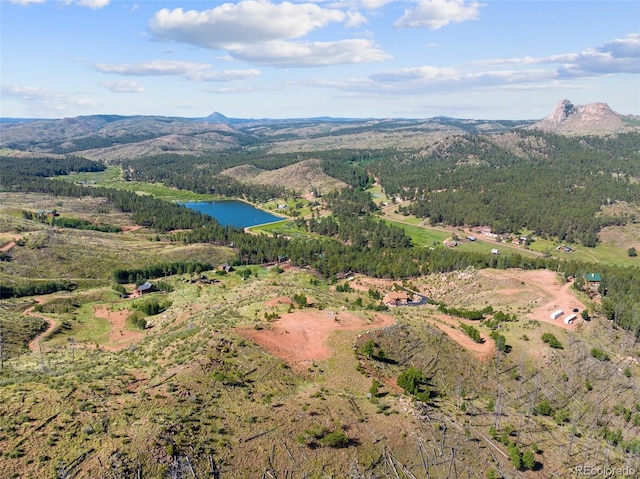 14764 Columbine Cir, Woodland Park, CO 80863