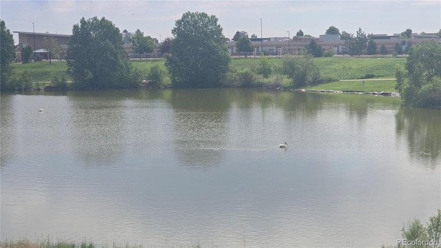 4543 Cathay St, Denver, CO 80249 - water view