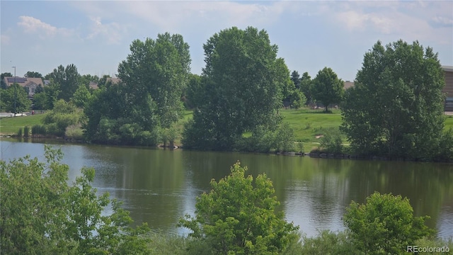 4543 Cathay St, Denver, CO 80249 - water view