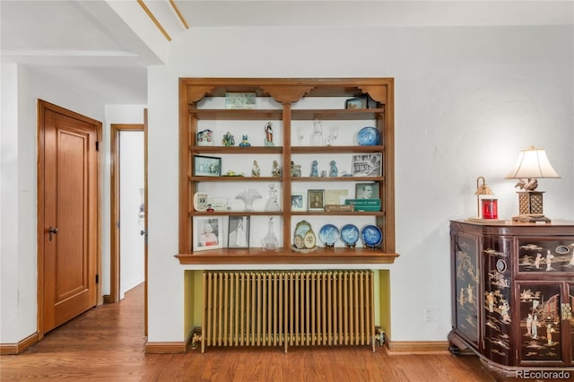 1475 S Monaco St Parkway, Denver, CO 80224 - hall with radiator and wood finished floors