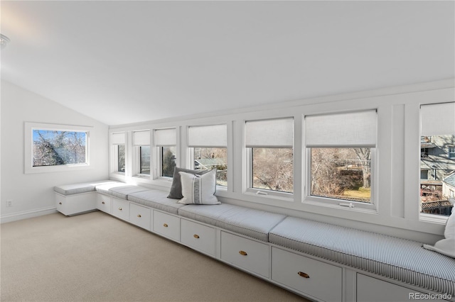 mudroom featuring light colored carpet and vaulted ceiling