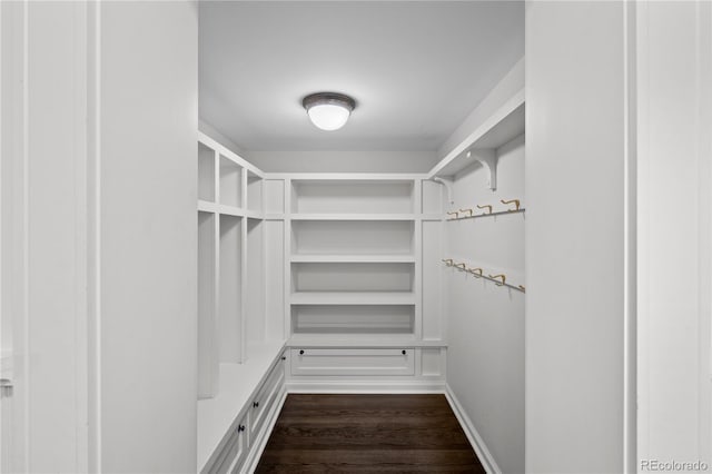 spacious closet with dark wood-style flooring