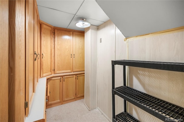 interior details featuring carpet and a paneled ceiling