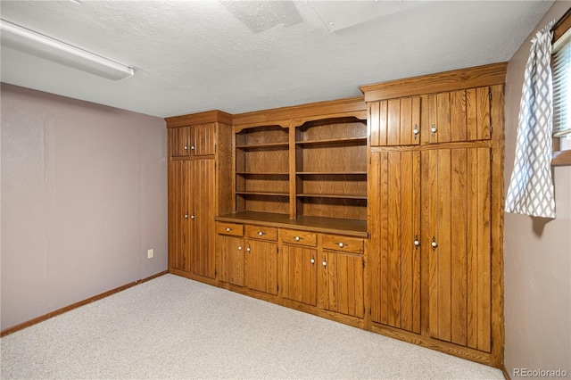 interior space featuring baseboards, carpet, and a textured ceiling