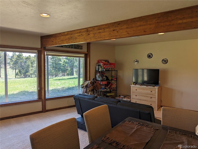 5751 Emery Ft, Garland, CO 81133 - photo 25