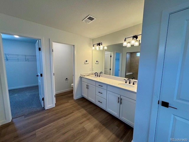 245 Wooten Ave, Brighton, CO 80601 - bathroom with wood finished floors, double vanity, and a walk in closet